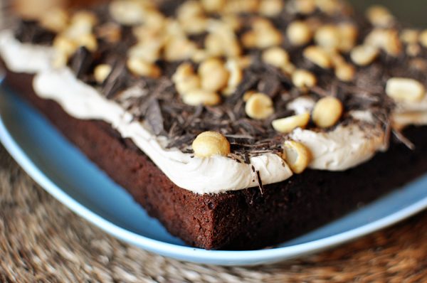 Chocolate Peanut Butter Fun Cake