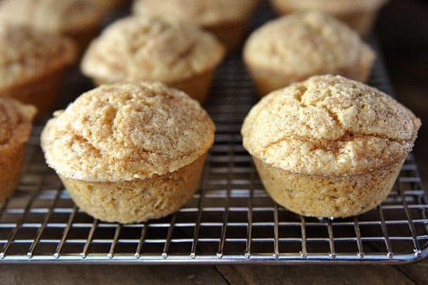Cinnamon and Sugar Dusted Coconut Vanilla Breakfast Muffins