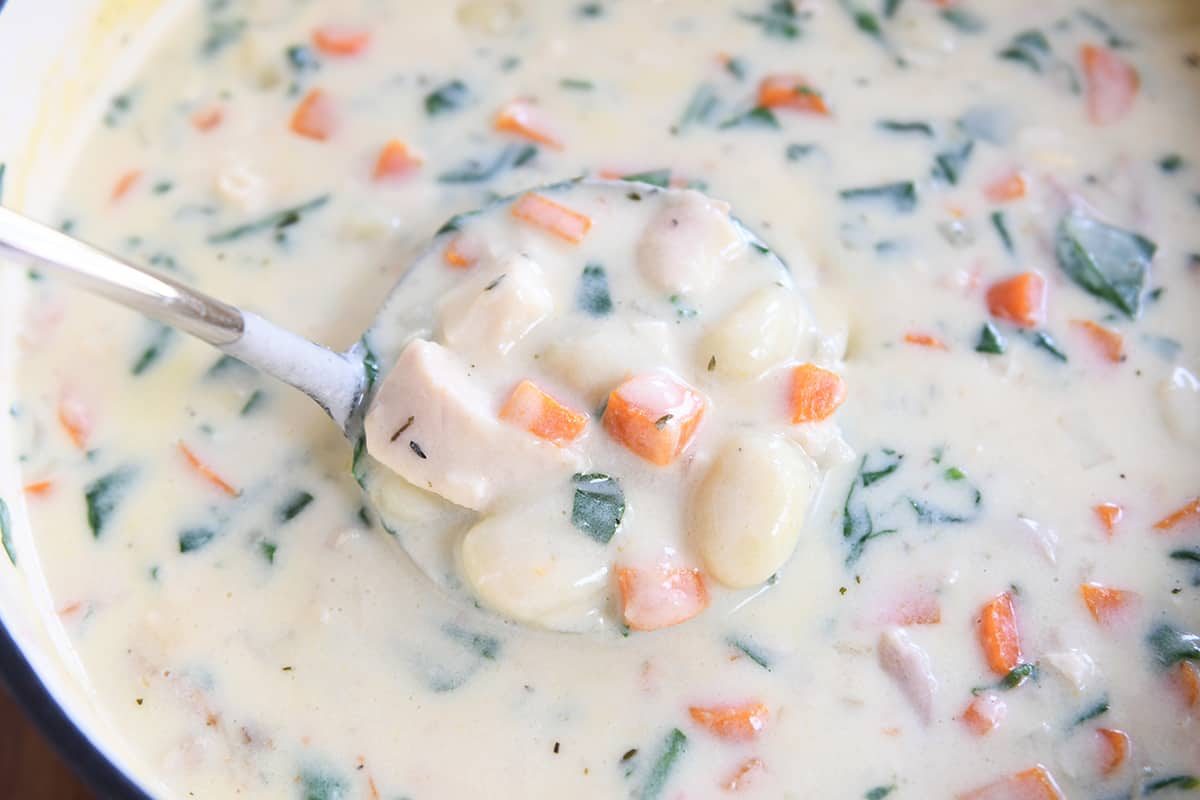 Chicken Gnocchi Soup {New and Improved}