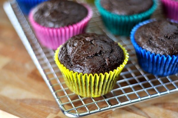 Double Chocolate Muffins