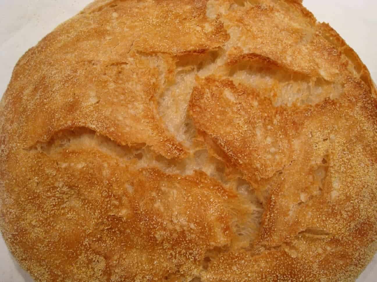 No-Knead Bread