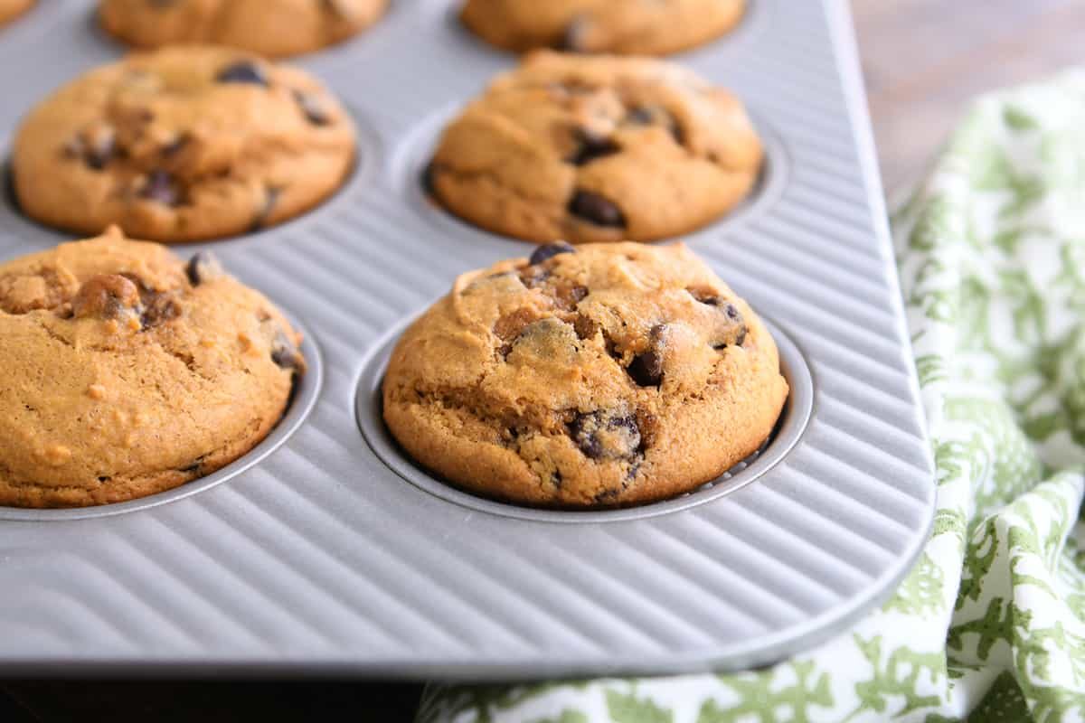 Pumpkin Chocolate Chip Muffins
