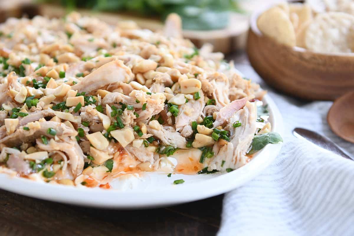 Sesame Thai Chicken Dip