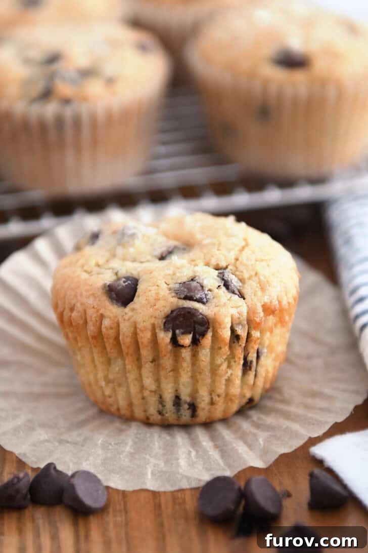 Nutty Brown Butter Chocolate Chip Muffins 2 Unwrapped chocolate chip muffin, highlighting its golden-brown exterior and melty chocolate chips.