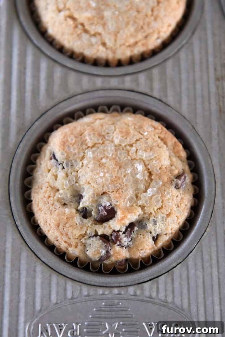 Nutty Brown Butter Chocolate Chip Muffins 13 Top down view of a perfectly baked brown butter chocolate chip muffin in a muffin tin, with a sugary crust.
