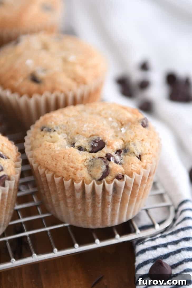 Nutty Brown Butter Chocolate Chip Muffins 14 A freshly baked brown butter chocolate chip muffin resting on a wire rack.