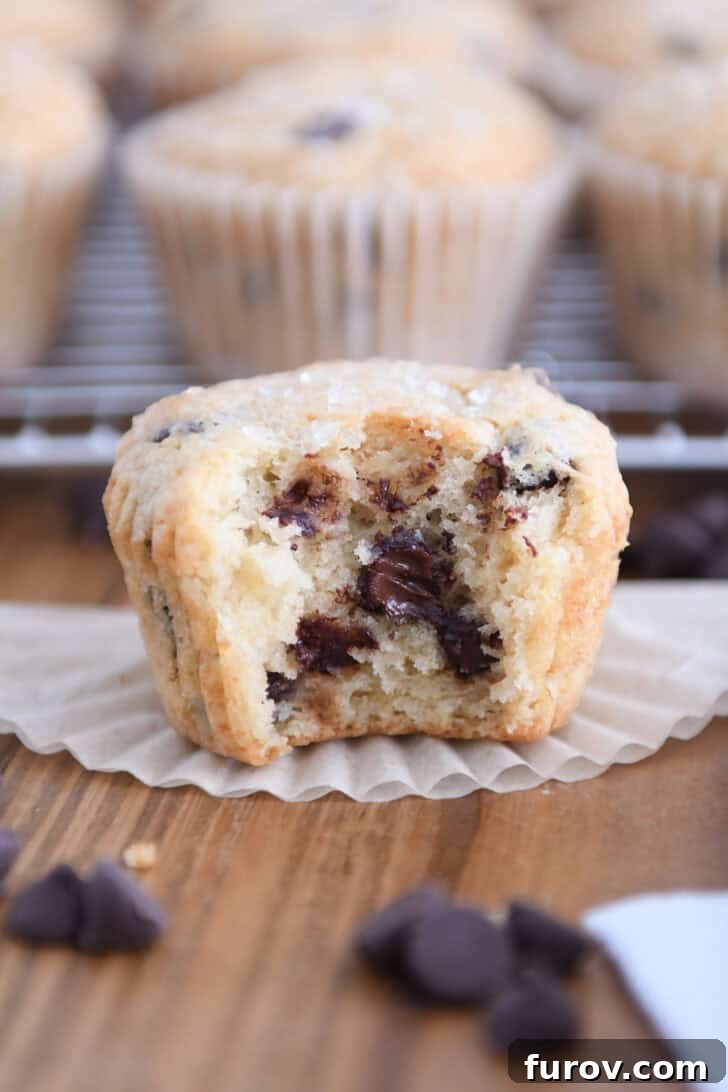 Nutty Brown Butter Chocolate Chip Muffins 15 A brown butter chocolate chip muffin with a bite taken out, revealing gooey melted chocolate chips inside.