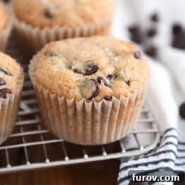 Chocolate chip muffin on wire rack.