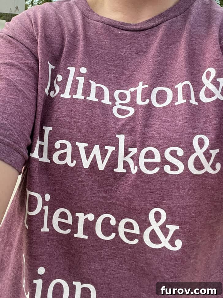 A comfortable and stylish t-shirt featuring the 'Emma M. Lion' book series logo.