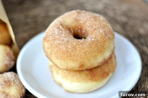 A white plate with two golden-brown baked doughnuts stacked on top of each other, generously coated in cinnamon sugar.