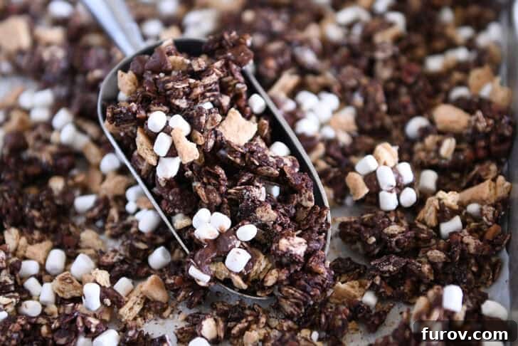 A metal scoop overflowing with homemade chocolate s'mores granola, showcasing its rich chocolate clusters, chunky graham crackers, and scattered mini marshmallows.