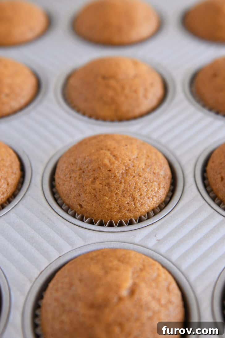 Baked domed pumpkin cupcake in liners in metal cupcake tin.