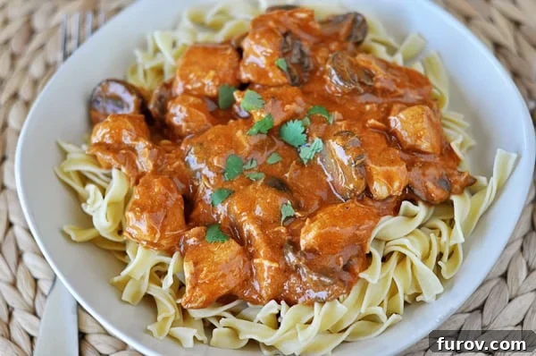 Smoked Paprika Chicken Stroganoff 3 Close-up top view of a white bowl featuring creamy paprika chicken stroganoff over egg noodles, garnished with fresh green parsley.