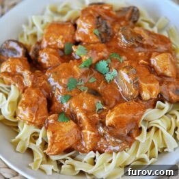 Top-down view of a creamy Paprika Chicken Stroganoff in a bowl, ready to be served.