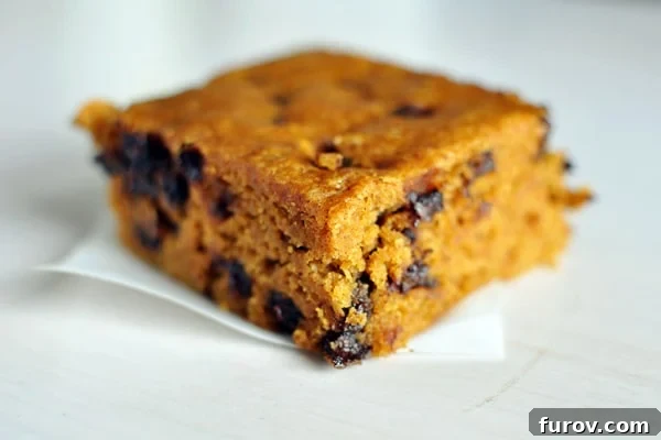 Autumn Spice Pumpkin Chocolate Chip Blondies 2 A square of moist pumpkin chocolate chip blondie on a piece of parchment paper, highlighting its delicious texture and chocolate chips.