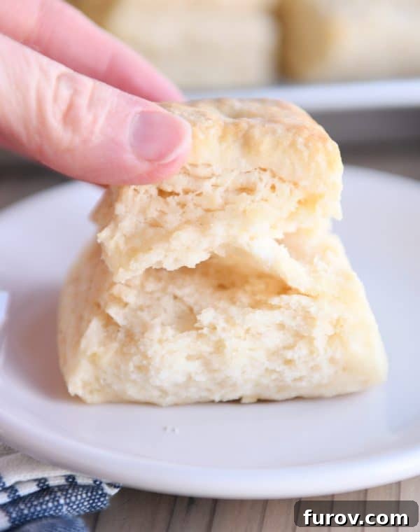 A close-up of a super flaky buttermilk biscuit being pulled apart on a white plate, revealing its delicate, buttery layers.