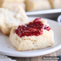 A freshly baked buttermilk biscuit, golden brown and perfectly flaky.