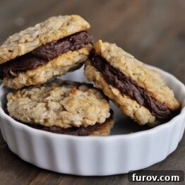 Fudge Filled Double Cruncher Cookies