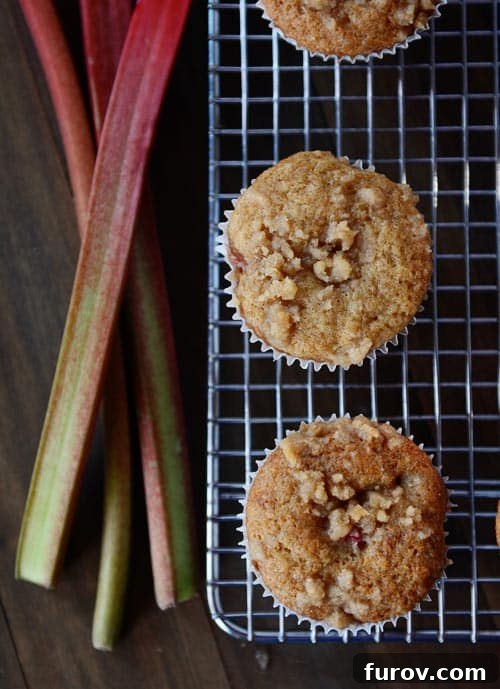 Top view of streusel-topped rhubarb muffins on a metal cooling rack. Fresh rhubarb stalks are on the side.