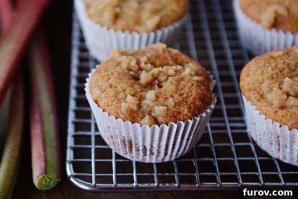 Streusel-topped rhubarb muffins on a cooling rack next to fresh rhubarb.