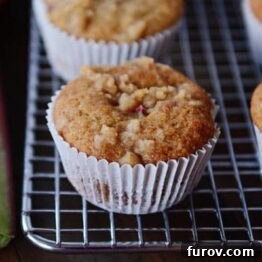 Rhubarb Muffins with Streusel