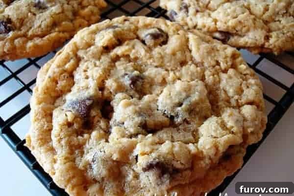 Comforting Whole Wheat Oatmeal Chocolate Chip Cookies 2 Delicious whole wheat oatmeal chocolate chip cookie cooling on a rack, showcasing its chewy texture and chocolate chips.