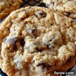 A perfectly baked whole wheat oatmeal chocolate chip cookie.