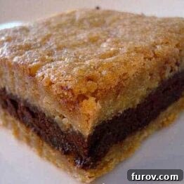 Delicious Dark Chocolate Ganache Filled Brown Sugar Bars, perfectly cut and arranged on a serving plate.