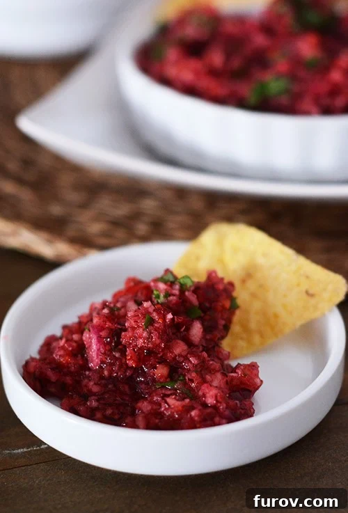 A scoop of fresh cranberry salsa on top of a tortilla chip, ready to be enjoyed.