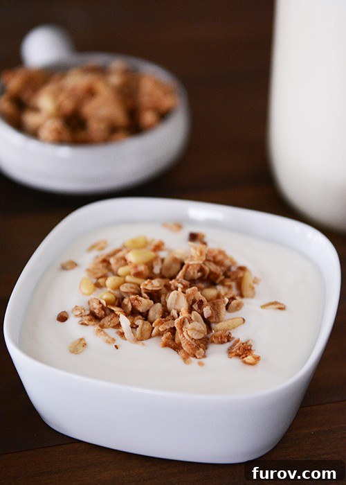 A bowl of homemade yogurt topped with crunchy granola, inviting a healthy breakfast.