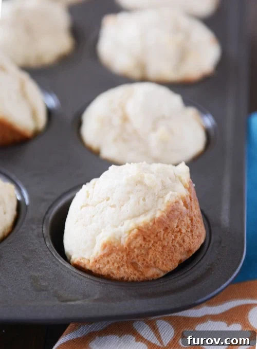 Sour cream muffins in a muffin tin with the front muffin tipped sideways out of the cup.