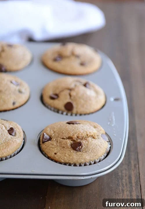Easy Blender Gluten Free Banana Chocolate Chip Muffins 2 A batch of golden-brown chocolate chip banana muffins nestled in a metal muffin tin, with melted chocolate chips visible on top.