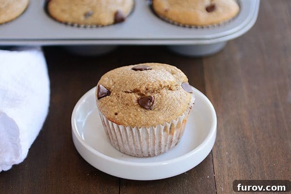 Easy Blender Gluten Free Banana Chocolate Chip Muffins 3 A single, delectable chocolate chip banana muffin placed on a white plate, highlighting its soft interior and abundant chocolate pieces.