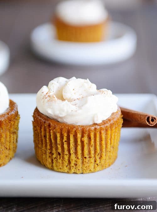 A beautifully presented crustless pumpkin pie cupcake, topped with a swirl of whipped cream and a delicate sprinkle of cinnamon. Cinnamon sticks rest beside it, hinting at the warm spices within.