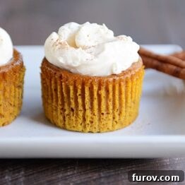 Individual Crustless Pumpkin Pie Cupcakes, beautifully arranged and ready to be served.