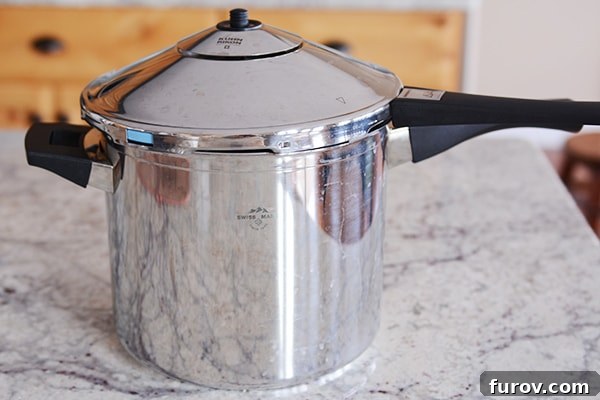 Deep Dive into Pressure Cooking: Why, What Kind, and Resources 3 A sleek stainless steel stovetop pressure cooker rests on a polished granite countertop, ready for use.