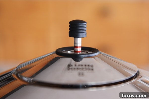 Deep Dive into Pressure Cooking: Why, What Kind, and Resources 5 A pressure cooker steaming on a stovetop, indicating it's at pressure.