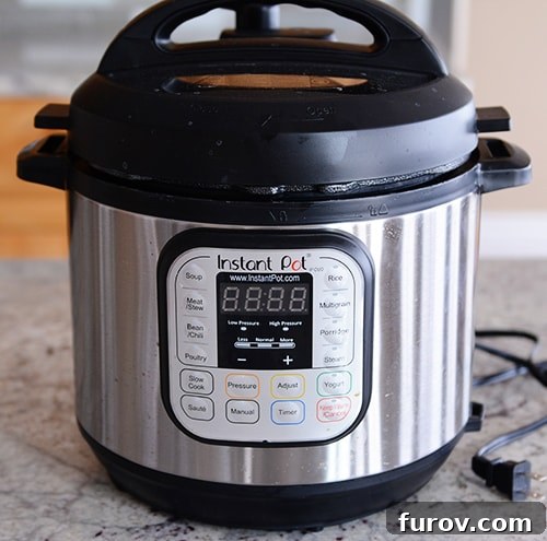 Deep Dive into Pressure Cooking: Why, What Kind, and Resources 7 A sleek stainless steel Instant Pot electric pressure cooker sits prominently on a modern kitchen counter.