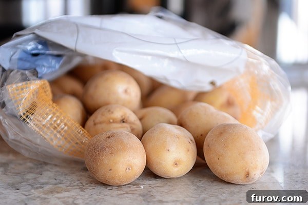 Deep Dive into Pressure Cooking: Why, What Kind, and Resources 8 A sack of golden-brown potatoes spills across a kitchen counter, highlighting the versatility of pressure cooking.
