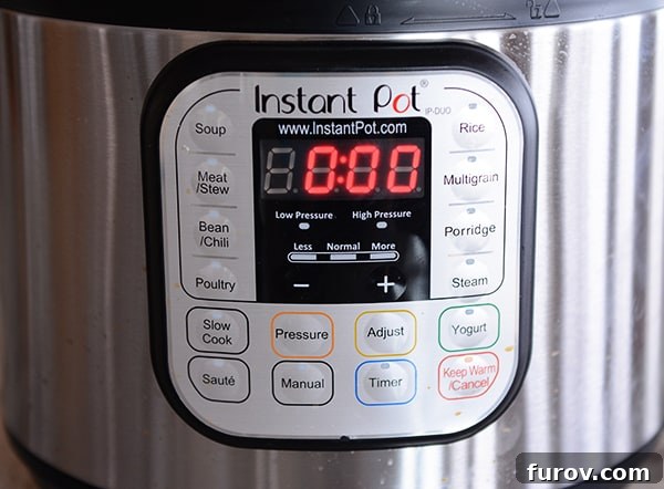 Deep Dive into Pressure Cooking: Why, What Kind, and Resources 9 The control panel of an Instant Pot electric pressure cooker, displaying numerous function buttons and a digital screen.