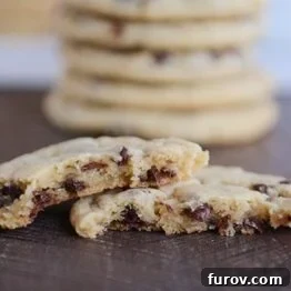 DoubleTree Hotel Copycat Chocolate Chip Cookies