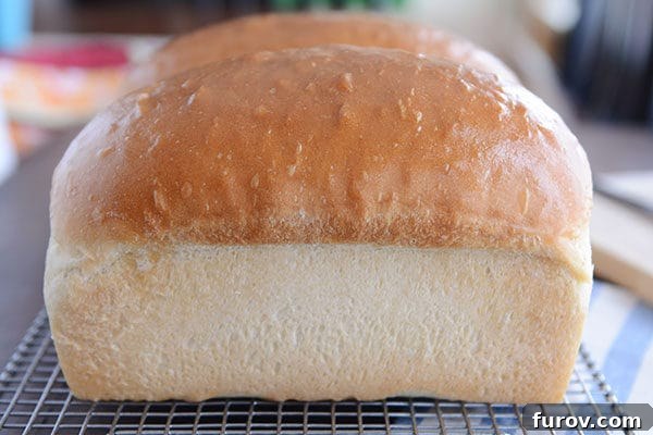 Two perfectly golden brown loaves of homemade white bread, cooling on a wire rack after baking.