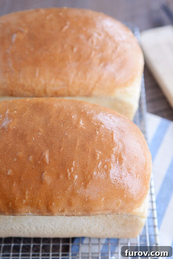 Two freshly baked loaves of homemade white bread cooling gracefully on a wire rack.
