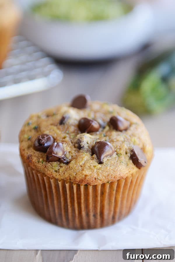 Ultimate Wholesome Zucchini Muffins 5 A single zucchini muffin topped with melted chocolate chips sits invitingly on a piece of parchment paper, ready to be enjoyed.