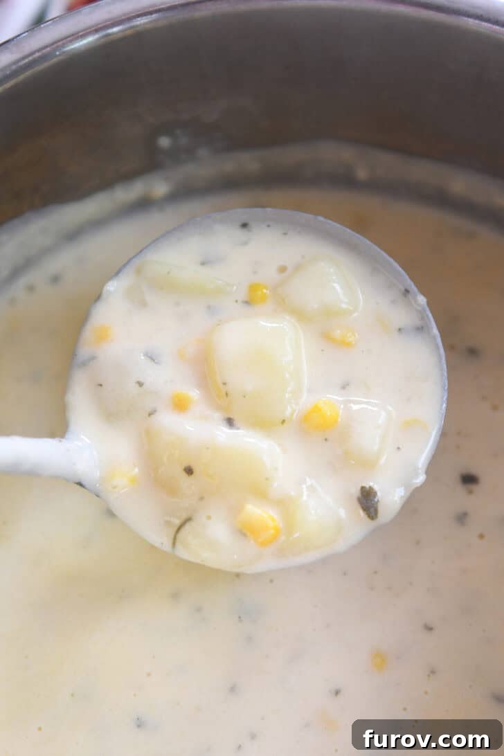 A ladle scooping rich, creamy Instant Pot Cheesy Potato Soup directly from the pressure cooker.