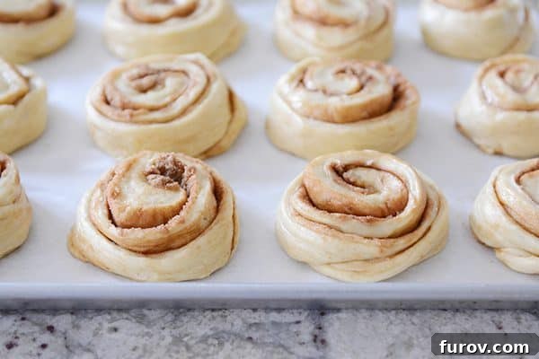 Uncooked cinnamon rolls neatly arranged on a parchment-lined sheet pan, showing proper spacing.