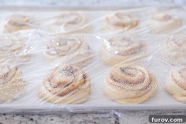 A pan of uncooked cinnamon rolls carefully covered with greased plastic wrap, ready for refrigeration.