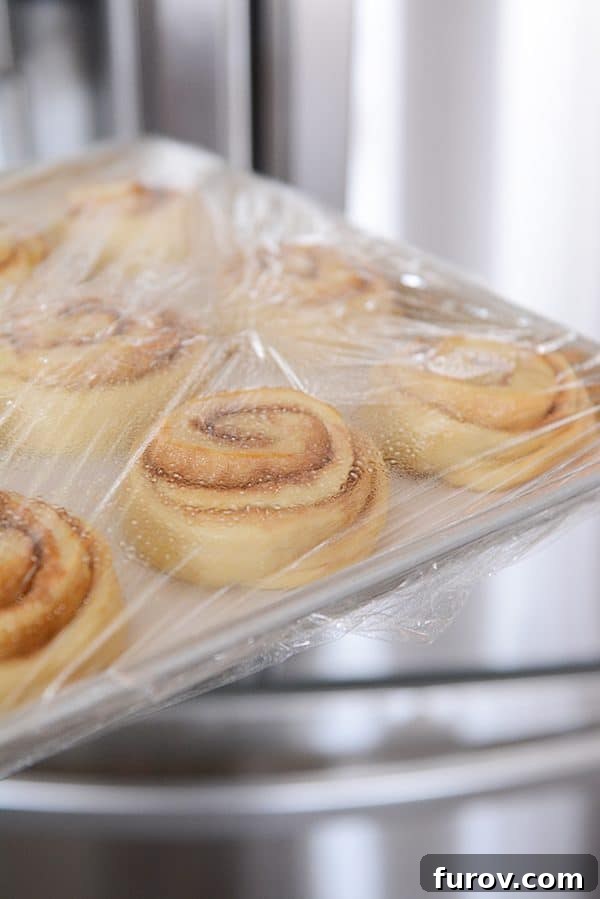 A pan of cinnamon rolls partially risen under plastic wrap, showing the effects of cold proofing.