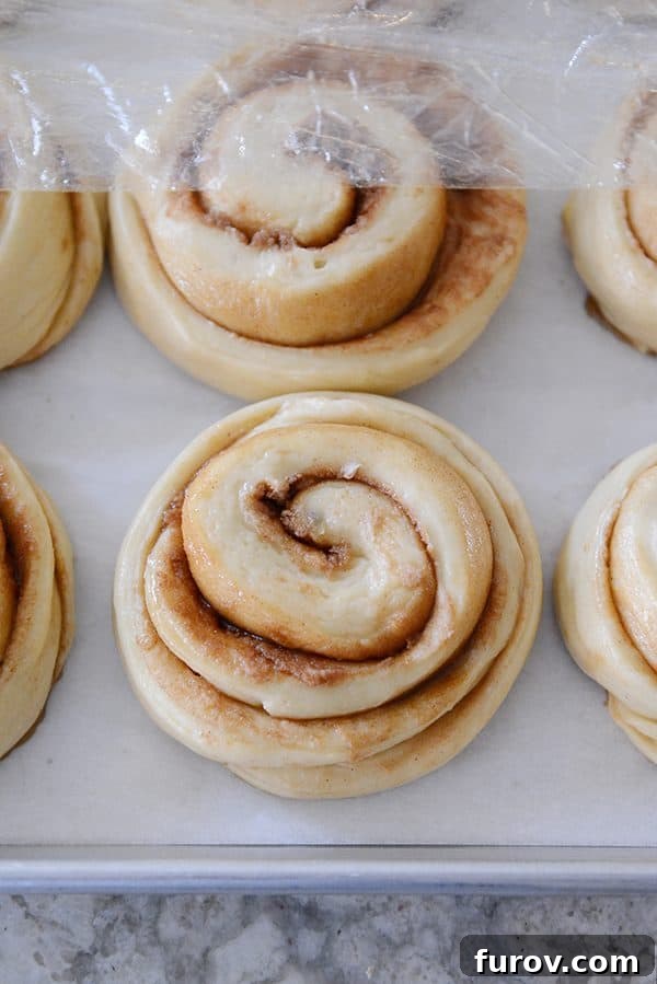 Hands carefully covering uncooked cinnamon rolls with plastic wrap before placing them in the fridge.