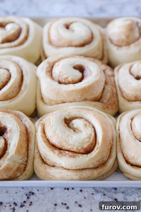 A sheet pan of beautifully cooked, unfrosted cinnamon rolls, golden brown and perfectly risen.